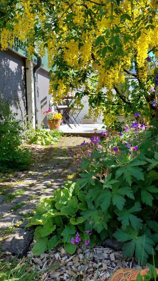 Old Charm Apartment - Keflavik Downtown Bagian luar foto